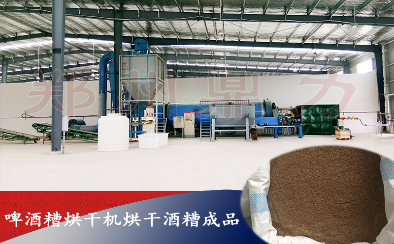 啤酒糟烘干機(jī)烘干啤酒糟成品圖