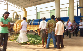 ӡ�����ݺ�����a��